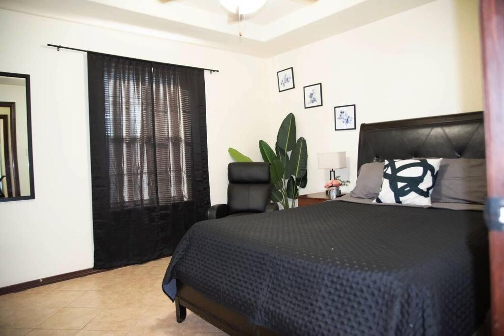 1 Min To University Utrgv 2Bd 2Bt Town Suite Единбург Екстер'єр фото