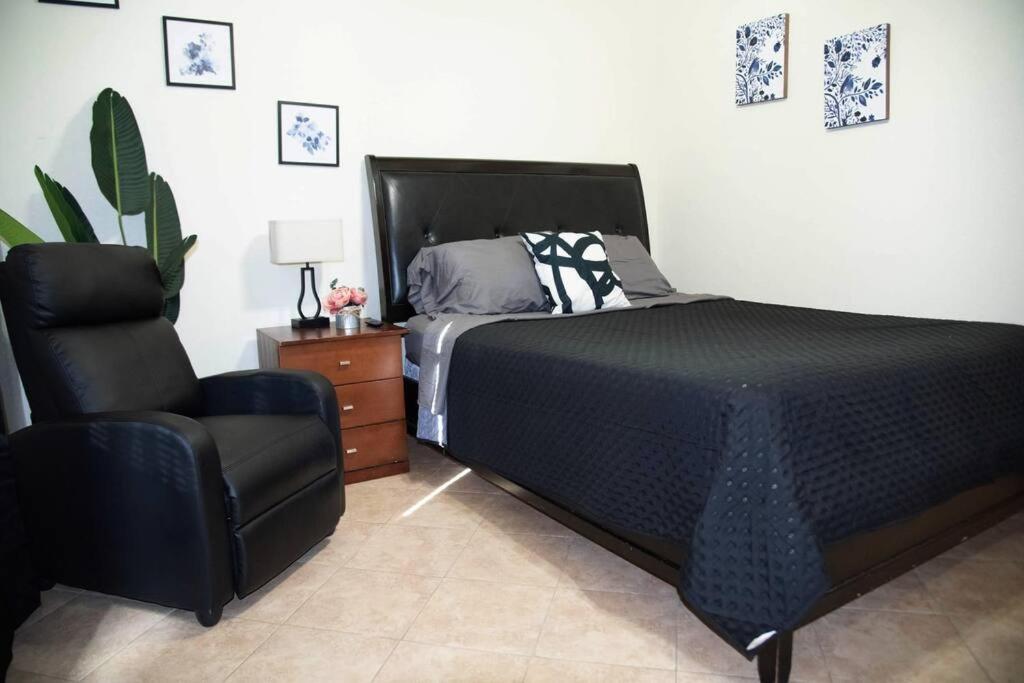 1 Min To University Utrgv 2Bd 2Bt Town Suite Единбург Екстер'єр фото