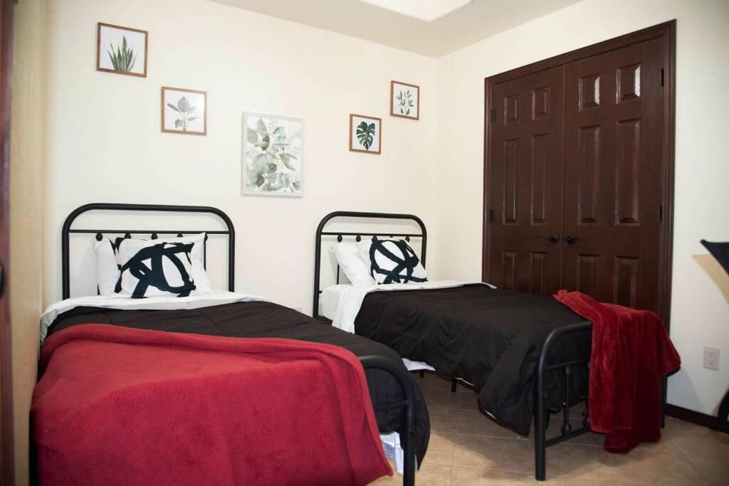 1 Min To University Utrgv 2Bd 2Bt Town Suite Единбург Екстер'єр фото